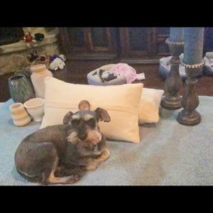 Meet your Posher, Mia